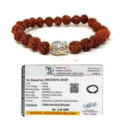 Rudraksha Buddha Bracelet