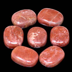 PETRIFIED WOOD - Root Chakra + Third Eye Chakra