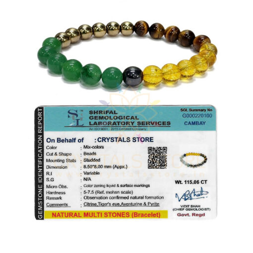 Money magnet Bracelet