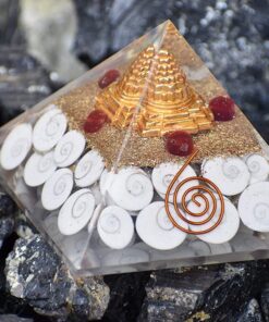 Gomti Chakra Orgone Pyramid
