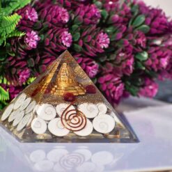 Gomti Chakra Orgone Pyramid