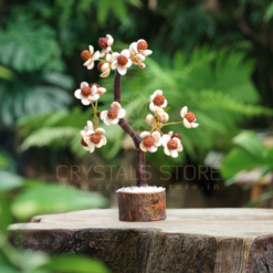 Gomati Chakra With Rudraksham Tree