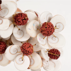 Gomati Chakra With Rudraksham Tree