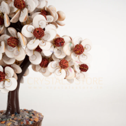 Gomati Chakra With Rudraksham Tree